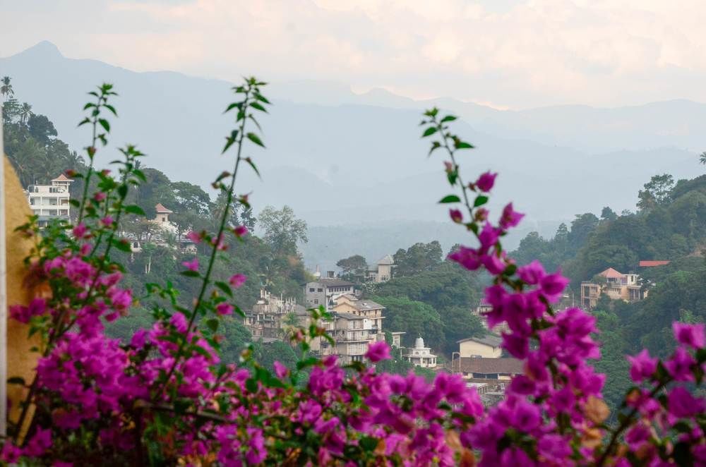 Blinkbonnie Inn Kandy Ngoại thất bức ảnh