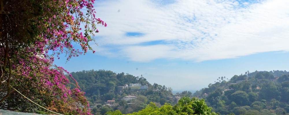 Blinkbonnie Inn Kandy Ngoại thất bức ảnh